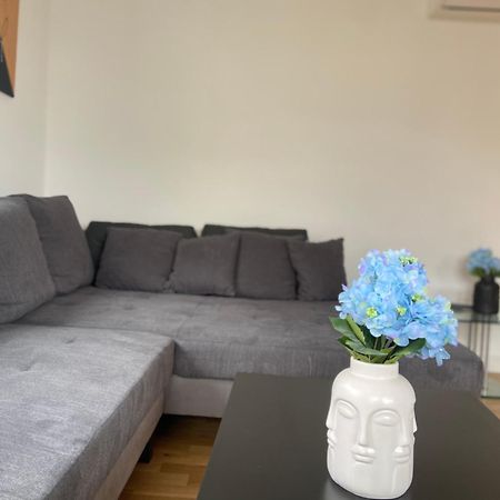 הופהיים אם טאונוס Luxury Apartment With Air Conditioning & Jaccuzzi Near Frankfurt Wiesbaden מראה חיצוני תמונה